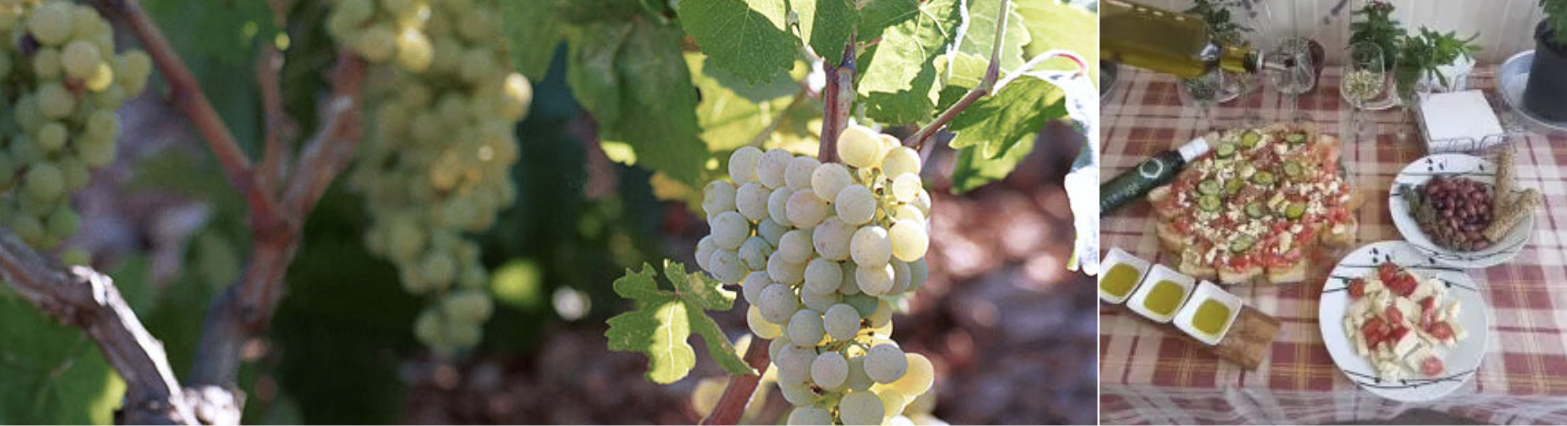 Kefalonia Excursions | Culinary Tour